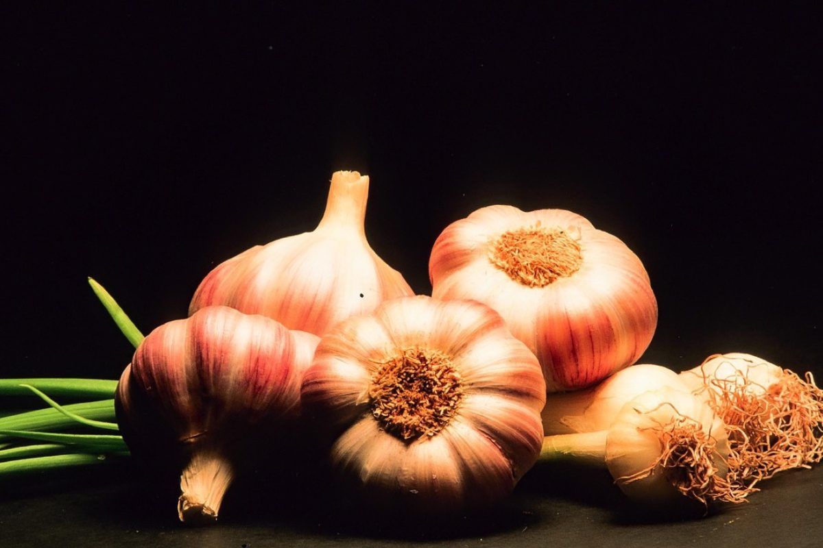 Conserver les légumes sans congélateur : méthodes et critères