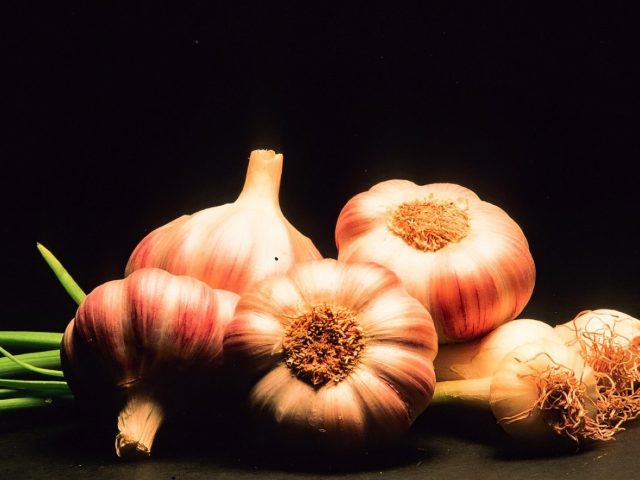 Conserver les légumes sans congélateur : méthodes et critères