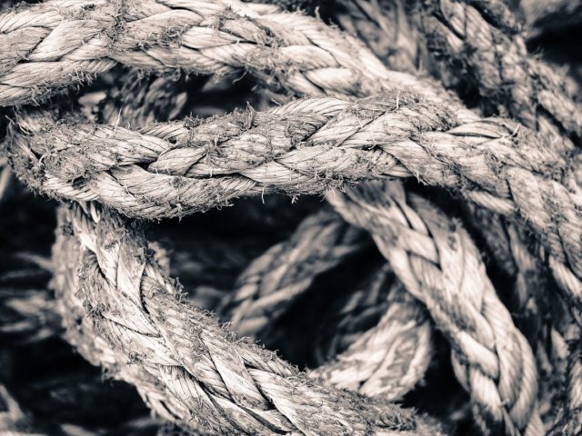 Guide: planifier un menu hebdomadaire économique et durable