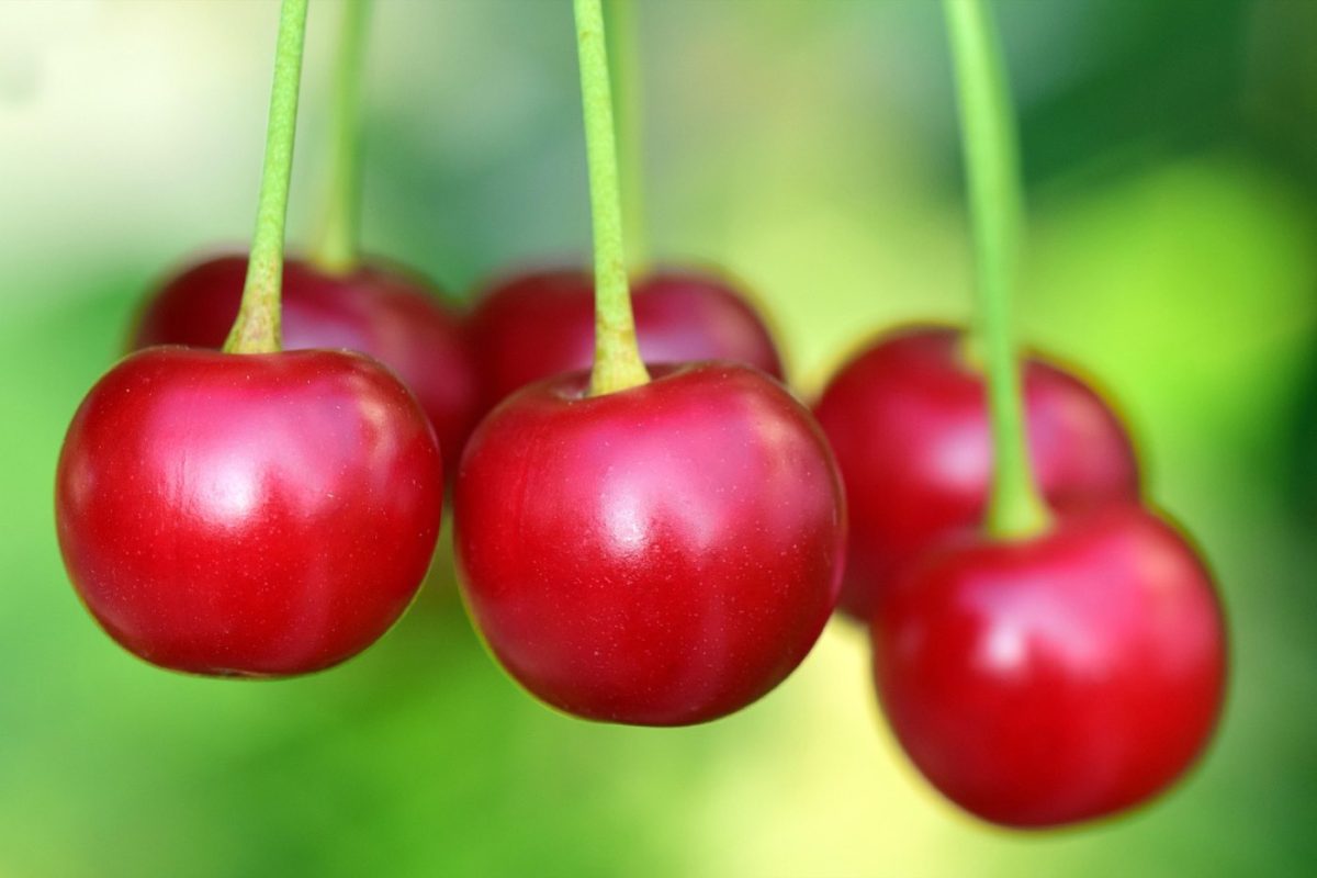 Bio en vrac vs produits locaux : lequel est moins cher ?