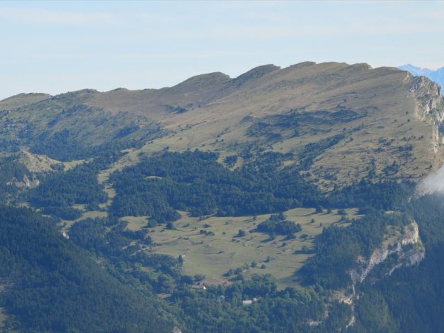 Tête de rubrique : en-tête, fonctions et contextes