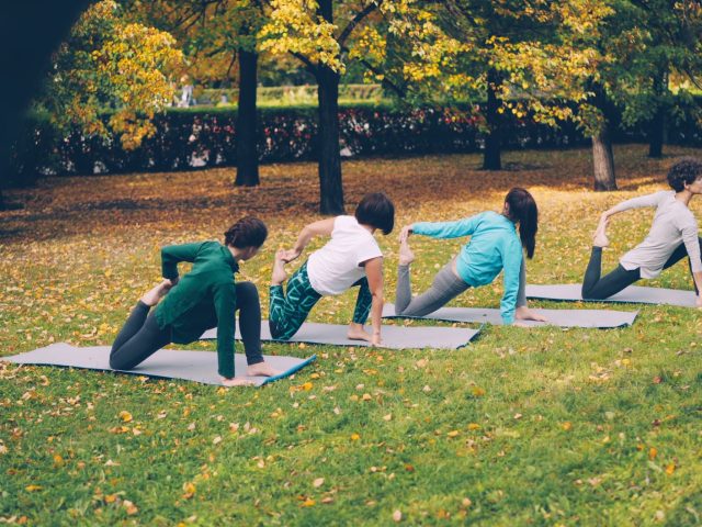 Meilleurs Aliments pour la Musculation : Guide Pratique