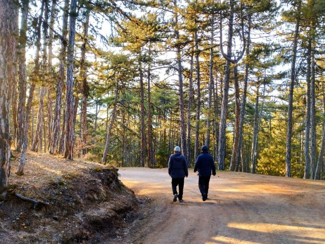 Les bienfaits de la marche en hiver