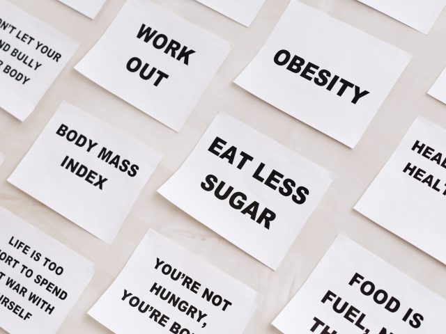 Alimentation végétale : le guide des athlètes